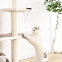 Pet Cat Toy Electronic Motion Cat Toy Interactive