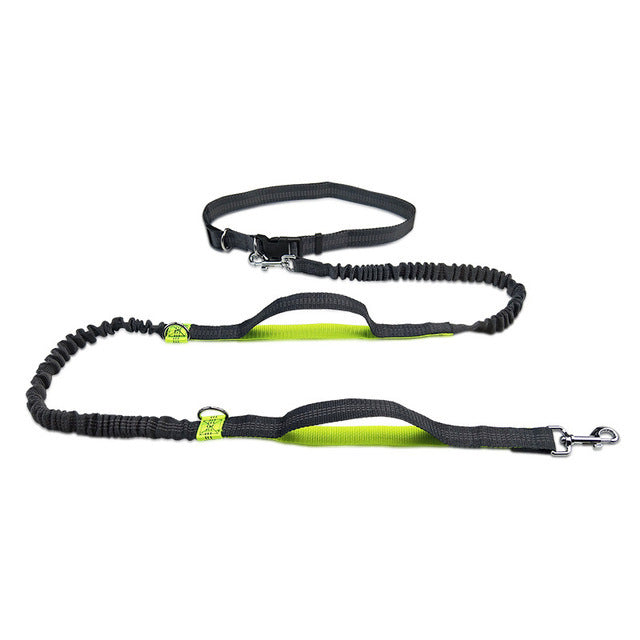 Pet Adjustable Harness Collar Jogging Leash Walking Gear