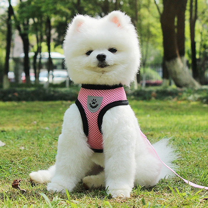 Pet Car Seat Belt Safety Leash Travel Restraint Tool