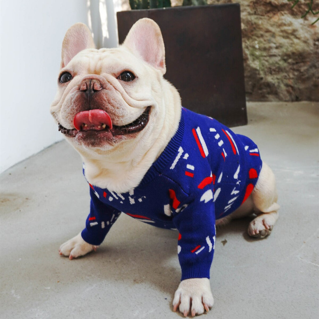 Pet Warm Knitted Casual Winter Sweater