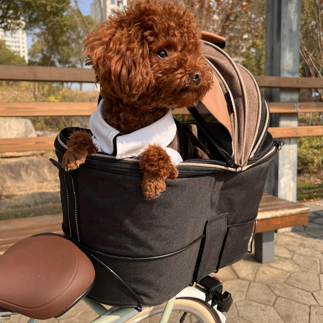 Pet Carrier Foldable Canvas Rear Seat Travel Bag