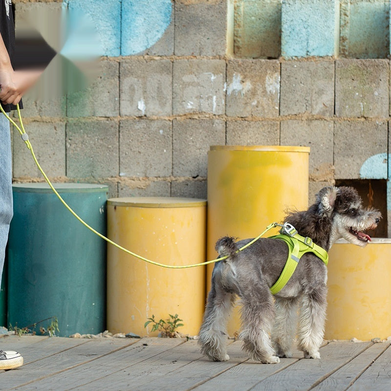 Pet Adjustable Sliding Leash Colorful Durable Walking Lead