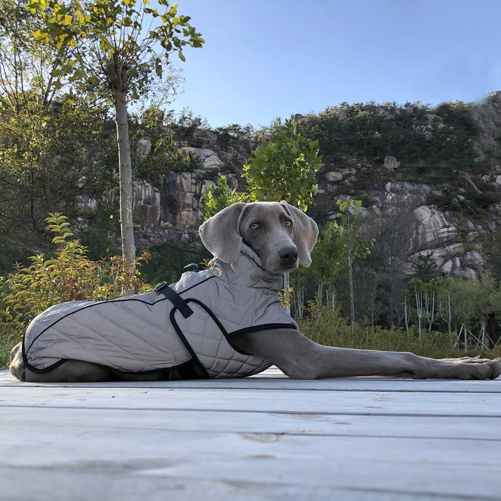 Pet Full Body Reflective Tactical Outdoor Jacket