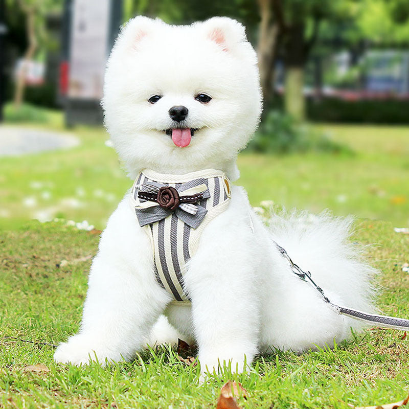 Pet Chest Strap Vest Leash Harness Walking Control Gear
