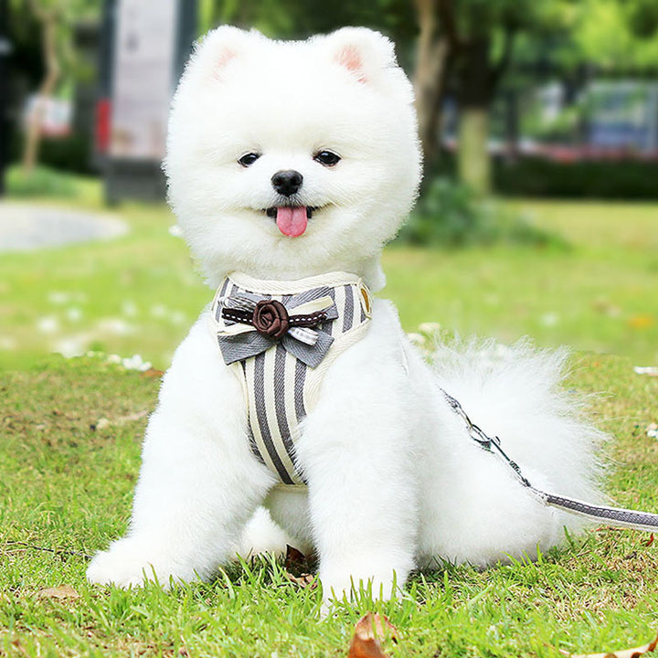 Pet Chest Strap Vest Leash Harness Walking Control Gear