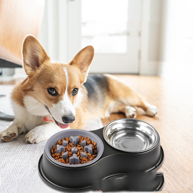 Pet Slow Feeding Bowl Removable Design