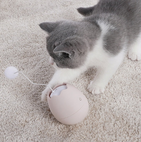 Pet Funny Interactive Play Toy Artifact