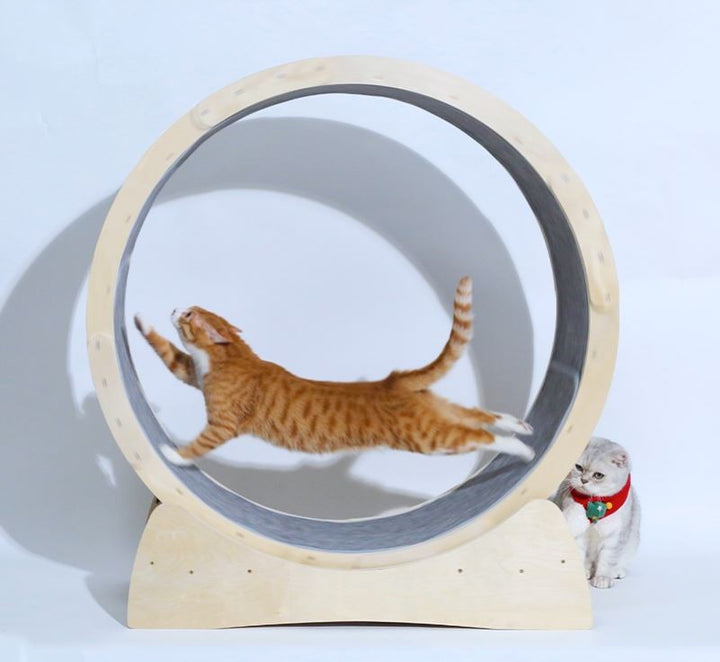 Pet Treadmill Roller Exercise Interactive Toy