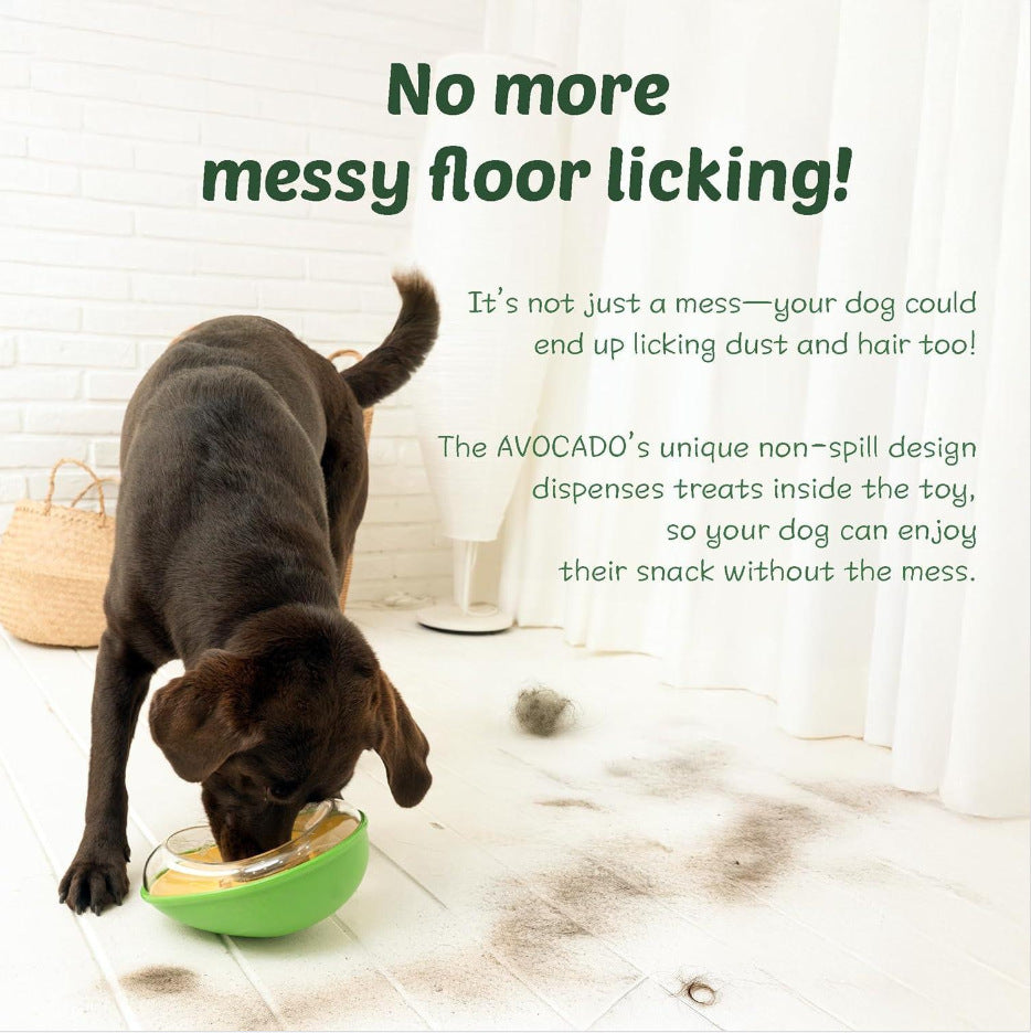 Anti Tumble Avocado Pet Feeding Bowl