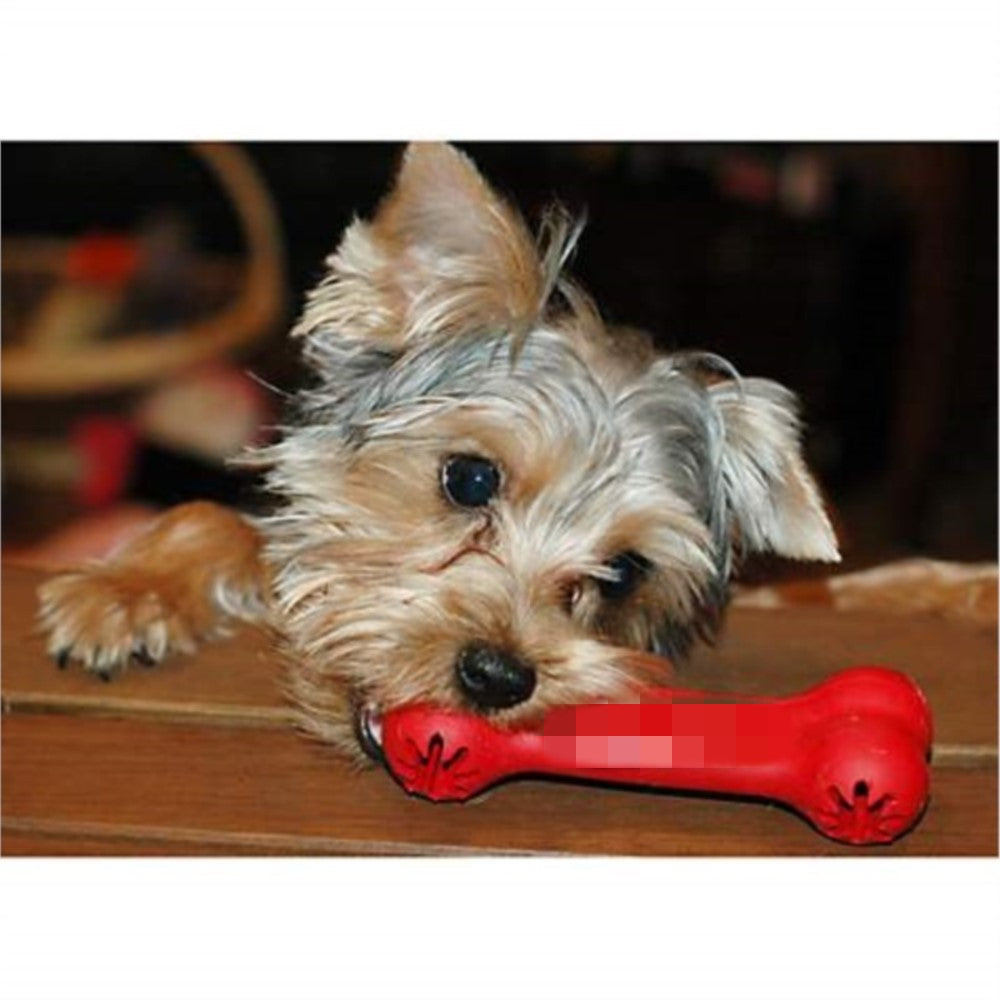 Pet Bite Resistant Rubber Teeth Grinding Toy