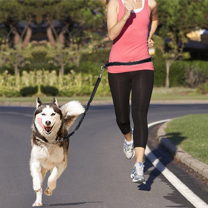 Pet Adjustable Harness Collar Jogging Leash Walking Gear