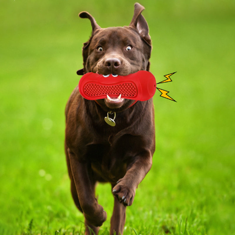 Vocal Rugby Pet Toy Natural Rubber Teething Chew Resistant Toy