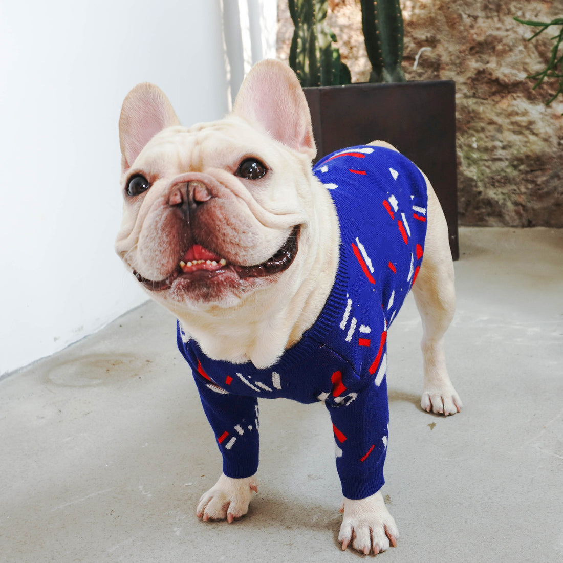 Pet Warm Knitted Casual Winter Sweater