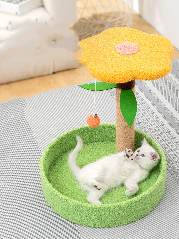 Pet Claw Grinding Teasing Interactive Toy
