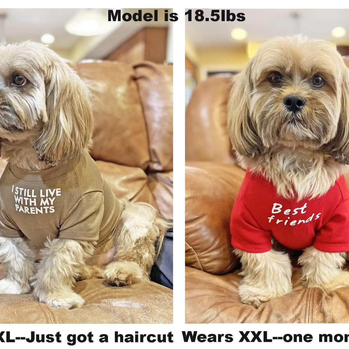 Pet Round Neck Casual Cotton T Shirt