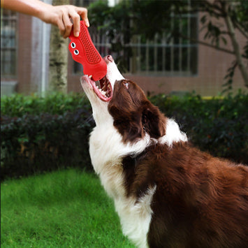 Vocal Rugby Pet Toy Natural Rubber Teething Chew Resistant Toy