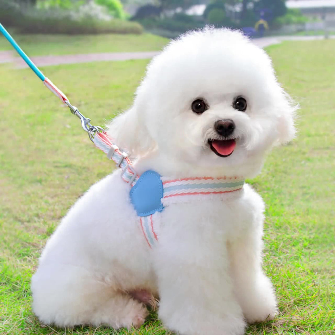 Pet Breathable Chest Vest Leash Walking Gear