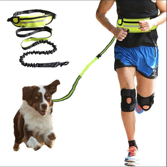 Hands-Free Dog Leash with Waist Bag | Perfect for Running & Walking - Pawfect Nest