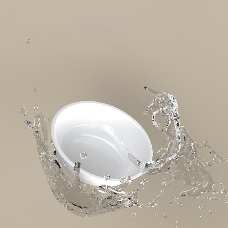 Pet Stainless Steel Tilted Feeding Bowl Cervical Support
