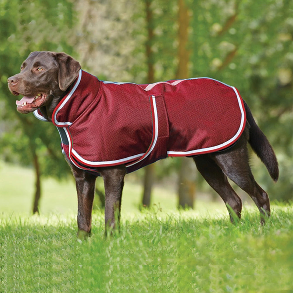 Pet Warm Waterproof Jacket Autumn Winter Leisure Wear