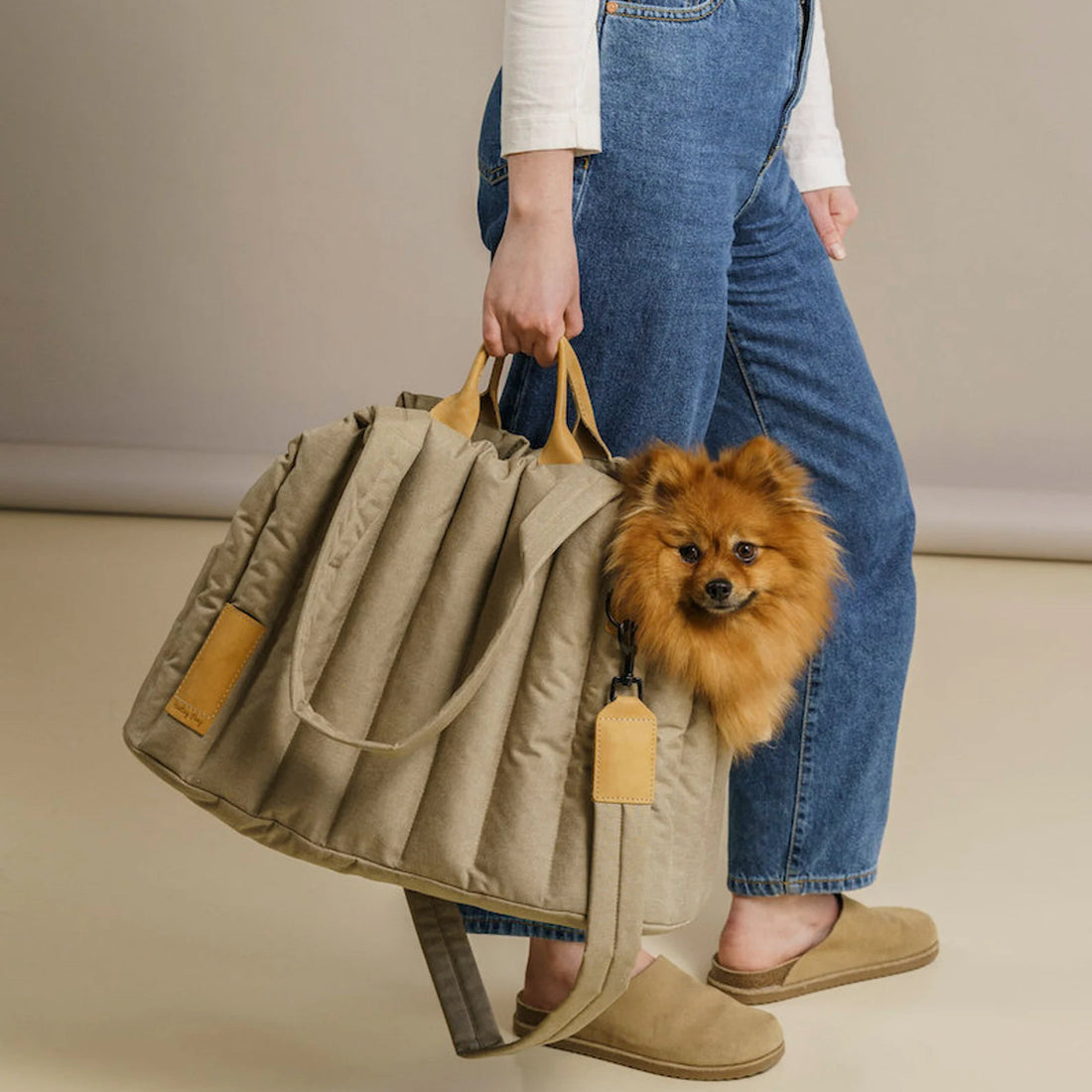 Pet Carrier Waterproof Lightweight Portable Travel Handbag Bag
