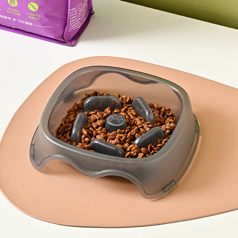 Pet Slow Feeding Anti Choking Water Bowl