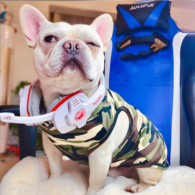 Pet Summer Fashion Casual Personality T Shirt