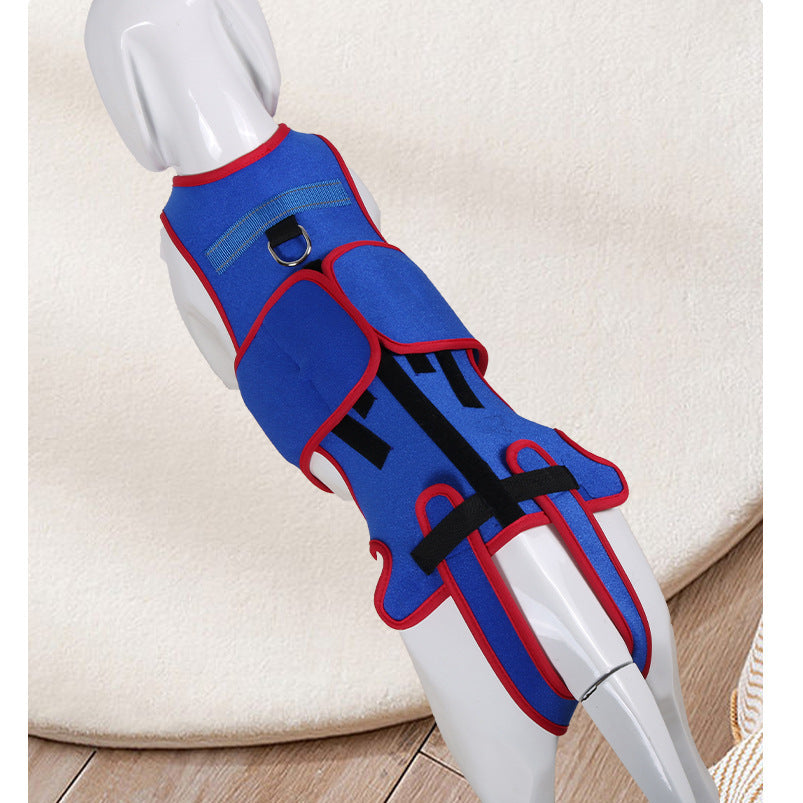 Pet Spine Support Jacket Posture Correction Aid