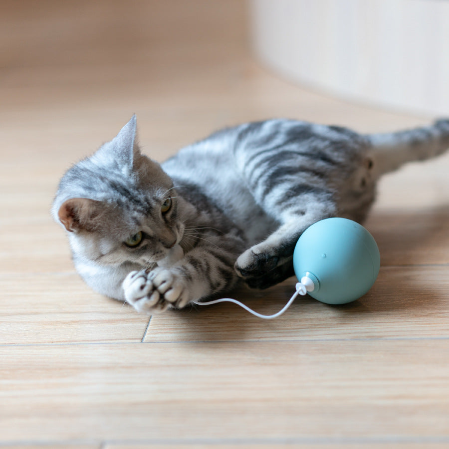 Pet Electric Interactive Funny Toy