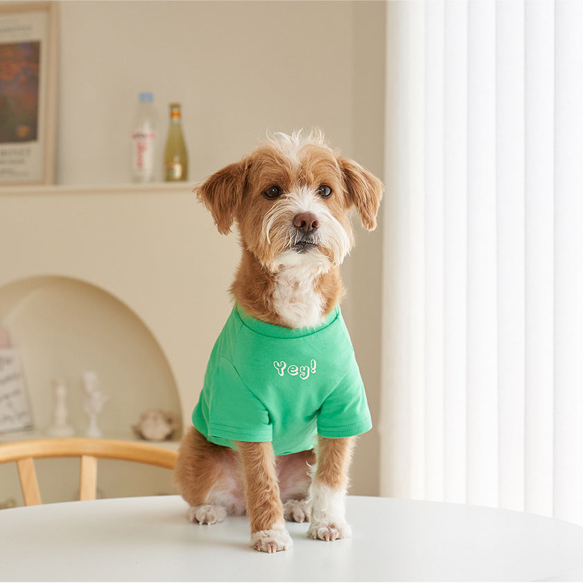 Pet Cotton Short Sleeve T-Shirt Korean Style Color Print Apparel