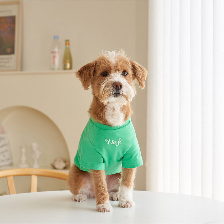 Pet Cotton Short Sleeve T-Shirt Korean Style Color Print Apparel