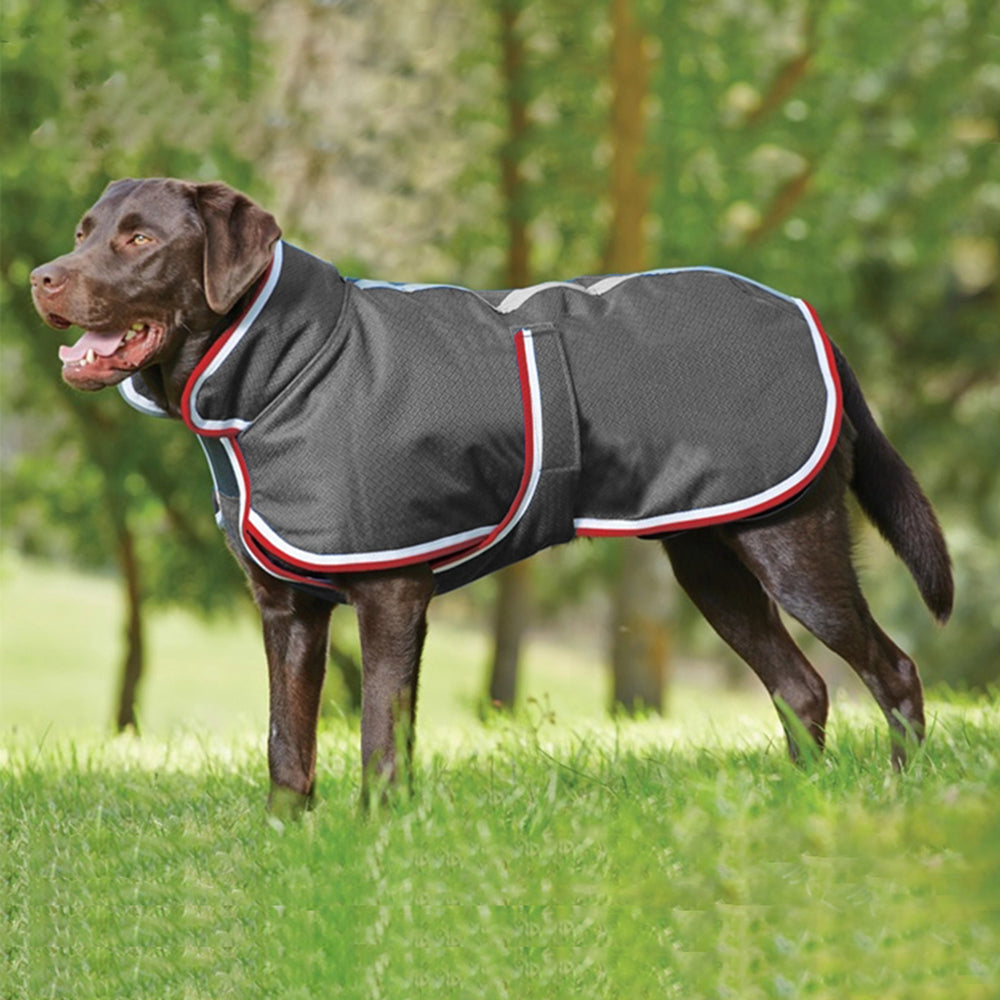 Pet Warm Waterproof Jacket Autumn Winter Leisure Wear