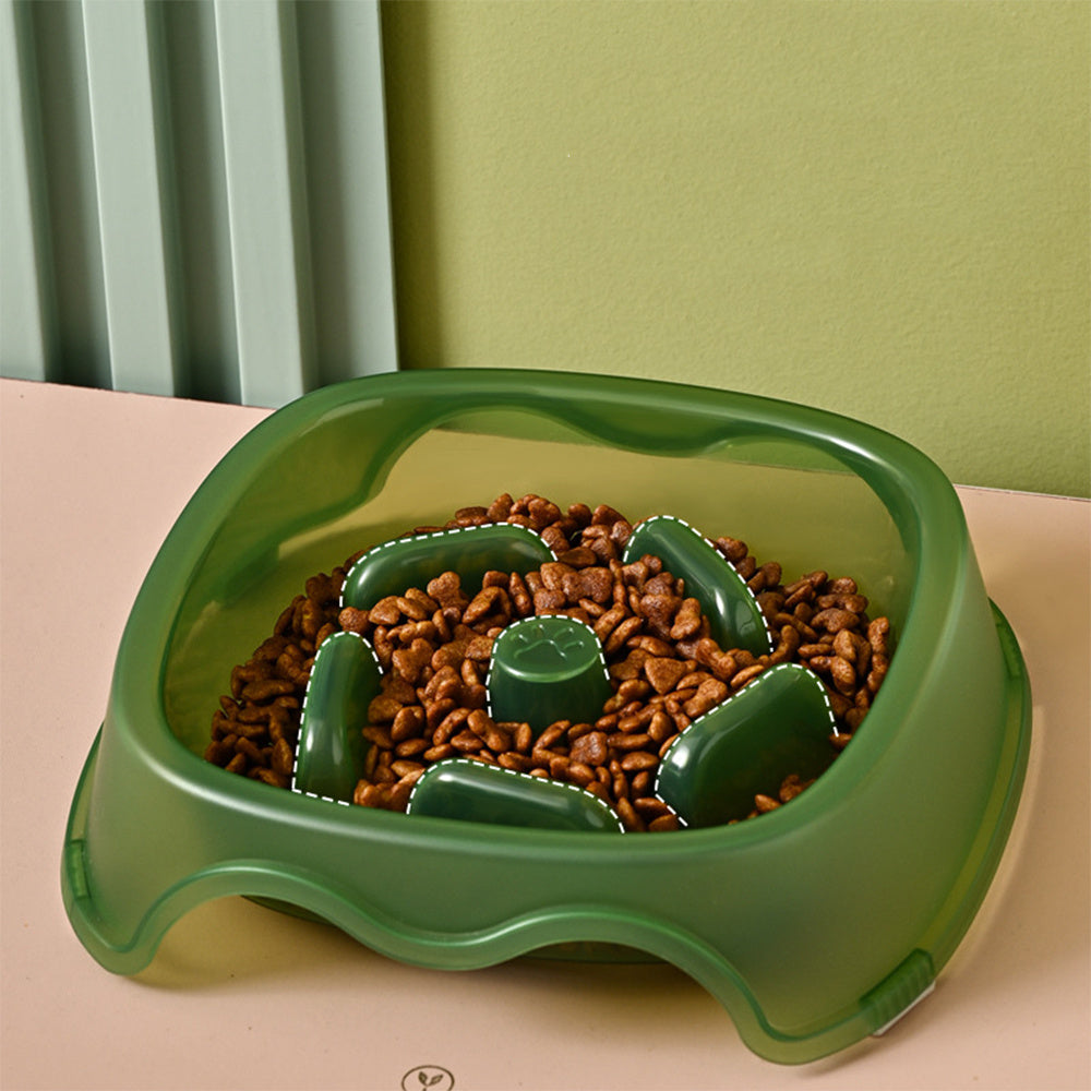Pet Slow Feeding Anti Choking Water Bowl