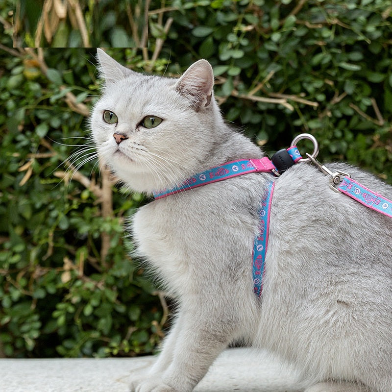 Pet Bell Chest Strap Haulage Rope Vest Leash Harness