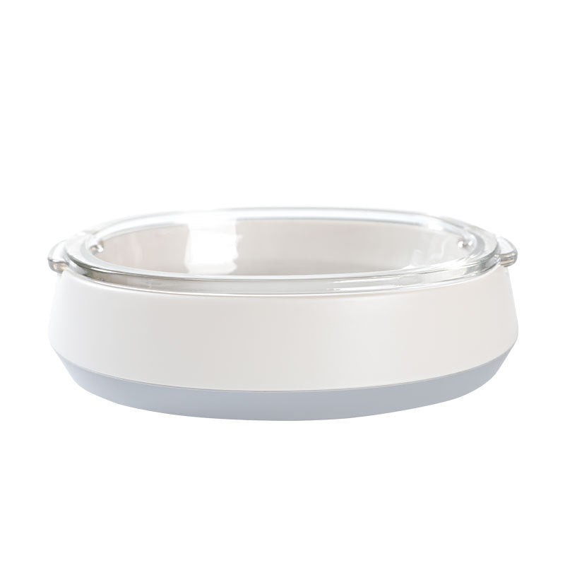 Pet Feeding And Watering Bowl