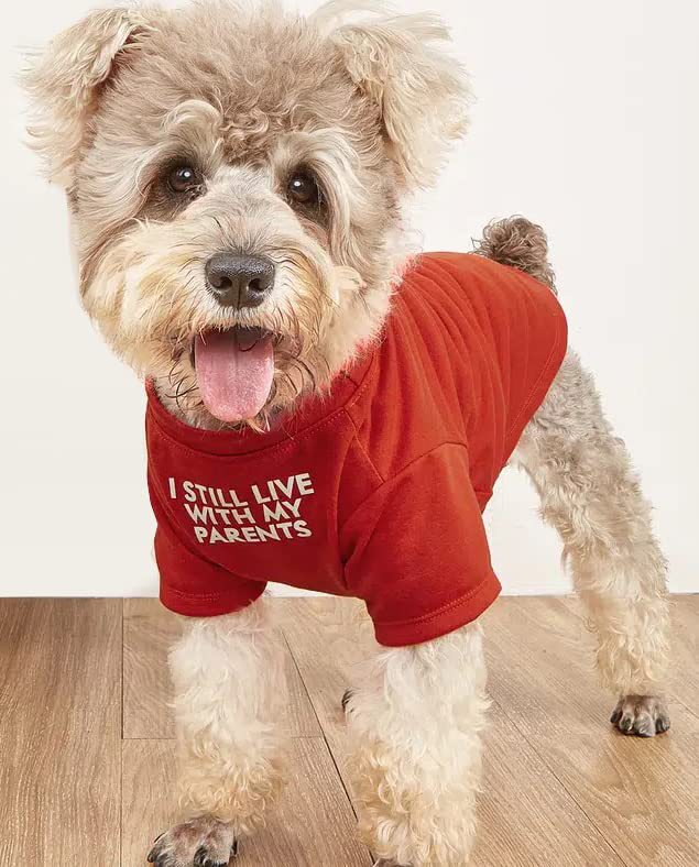 Pet Round Neck Casual Cotton T Shirt