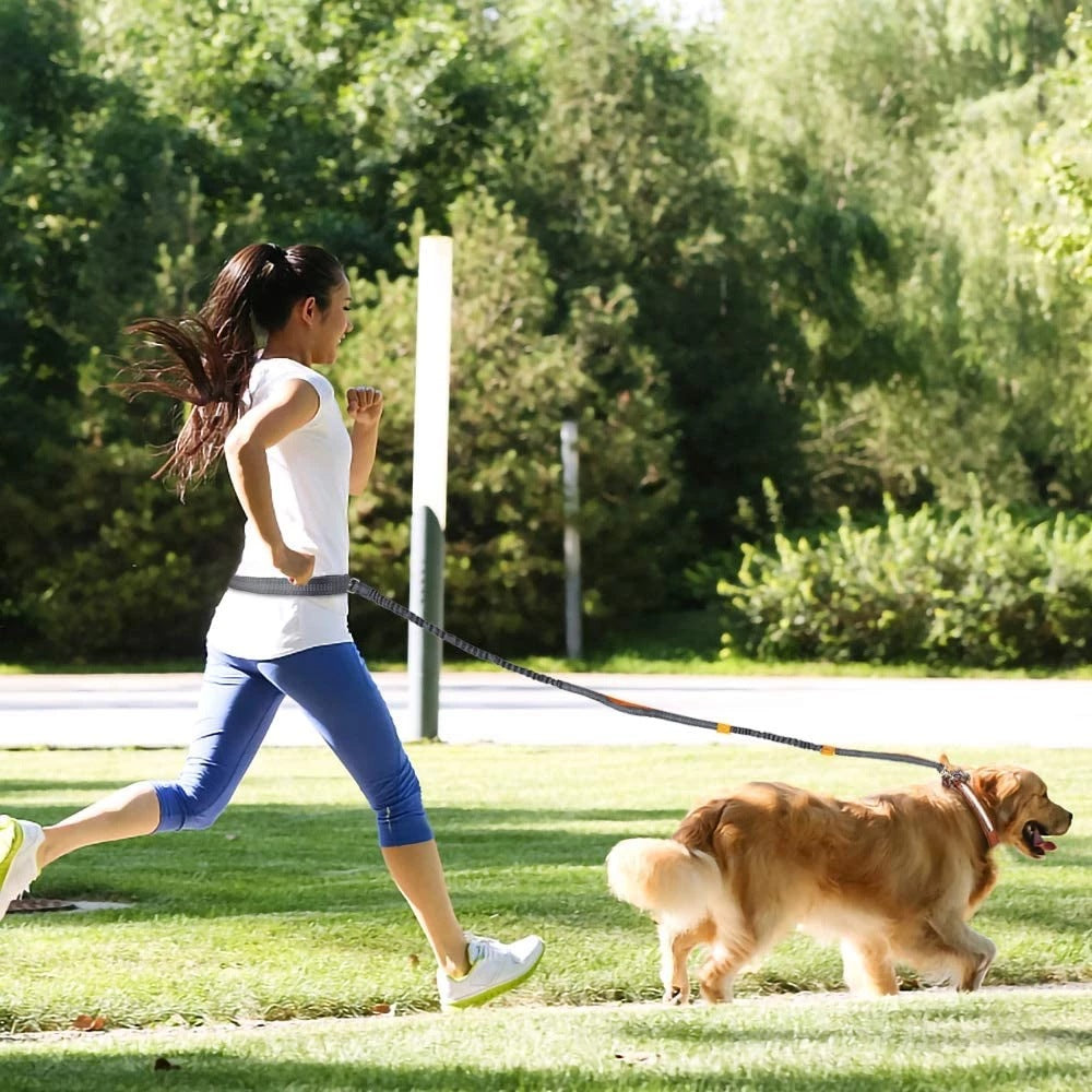 Pet Adjustable Harness Collar Jogging Leash Walking Gear