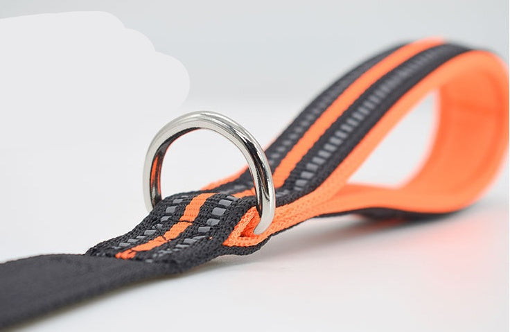 Pet Nylon Retractable Leash Walking Training Lead