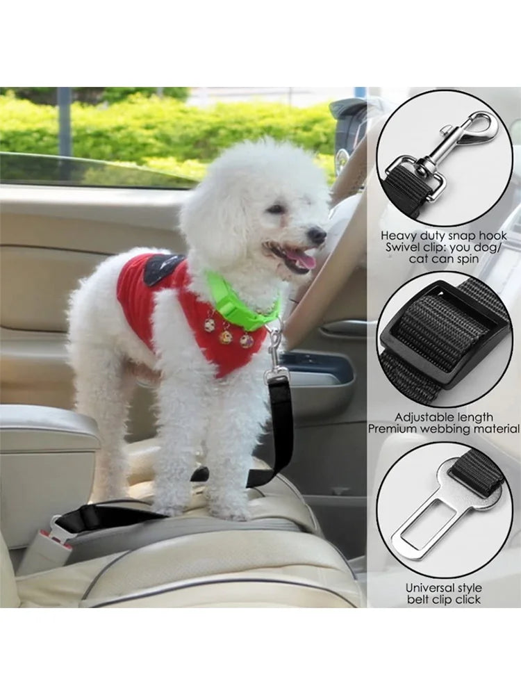 Car-Mounted Pet Safety Belt: Secure Your Pup On the Go - Pawfect Nest