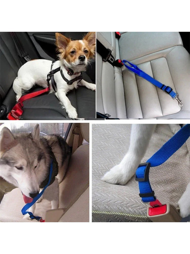 Car-Mounted Pet Safety Belt: Secure Your Pup On the Go - Pawfect Nest