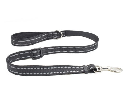 Pet Nylon Retractable Leash Walking Training Lead