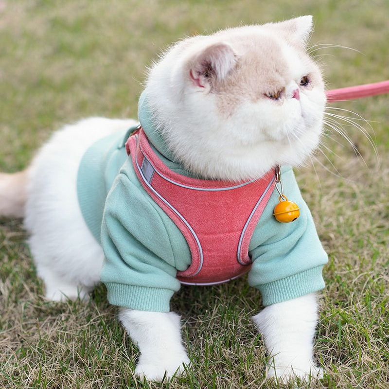 Pet Vest Type Chest Harness Leash Walking Control Gear