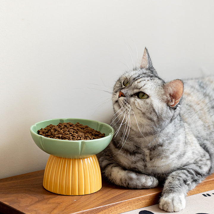 Pet Macaron Color Ceramic Feeding Bowl