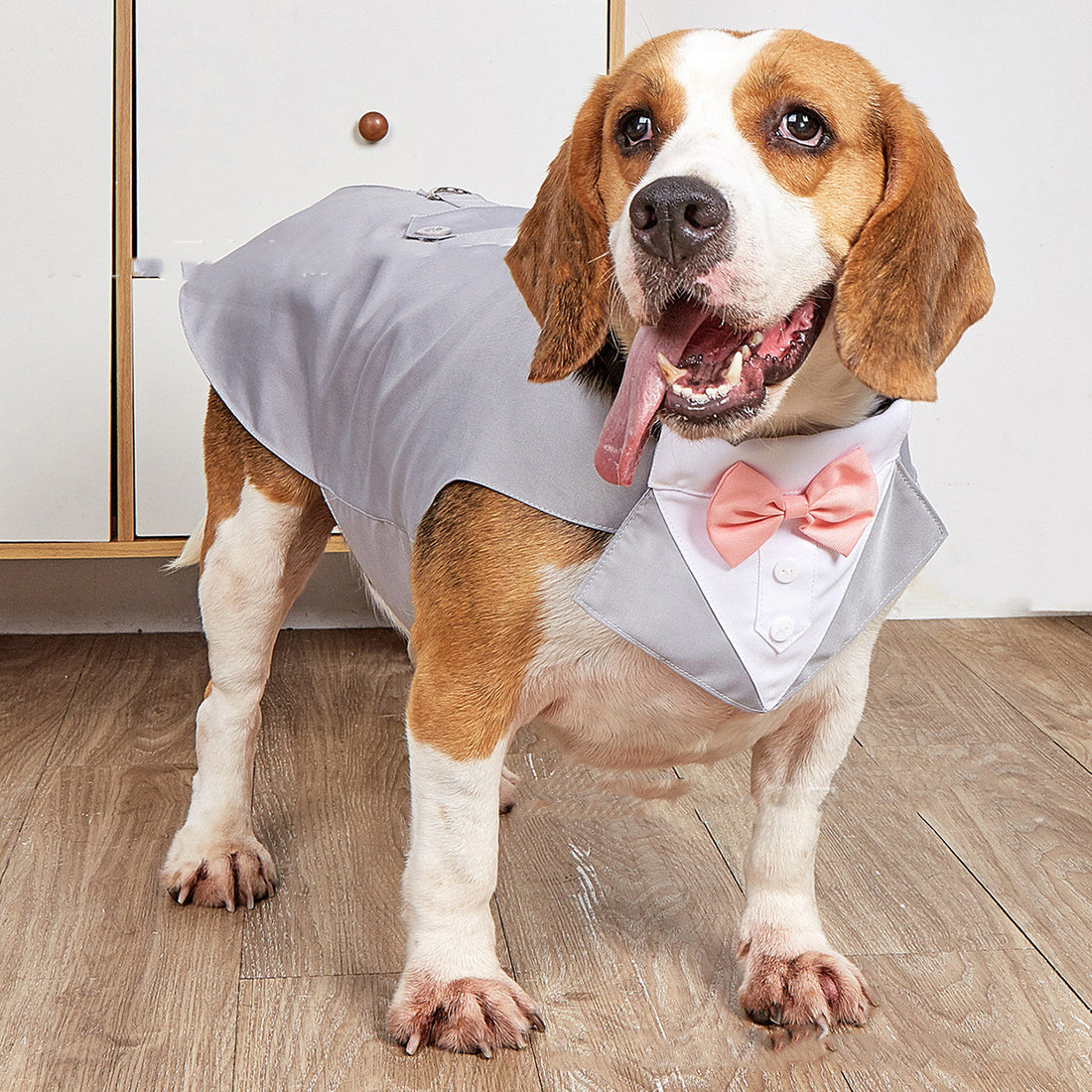 Pet Formal Swallowtail Wedding Suit Jacket Apparel