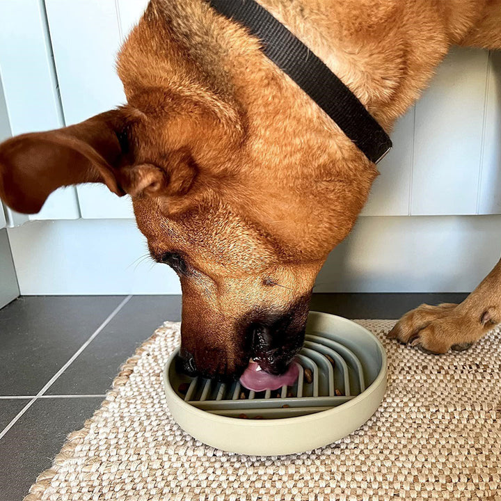 Pet Fashion Simple Slow Feeding Anti Choke Bowl