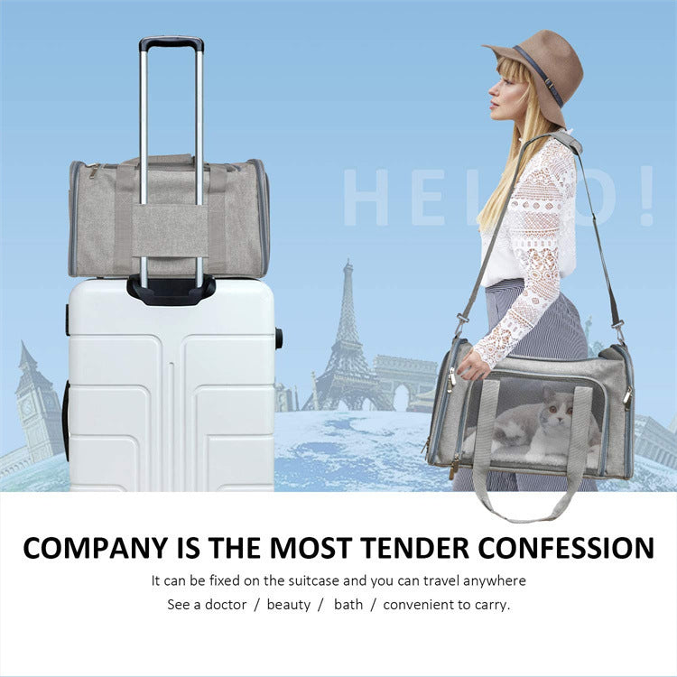 Pet Carrier Portable Foldable Handheld Travel Bag