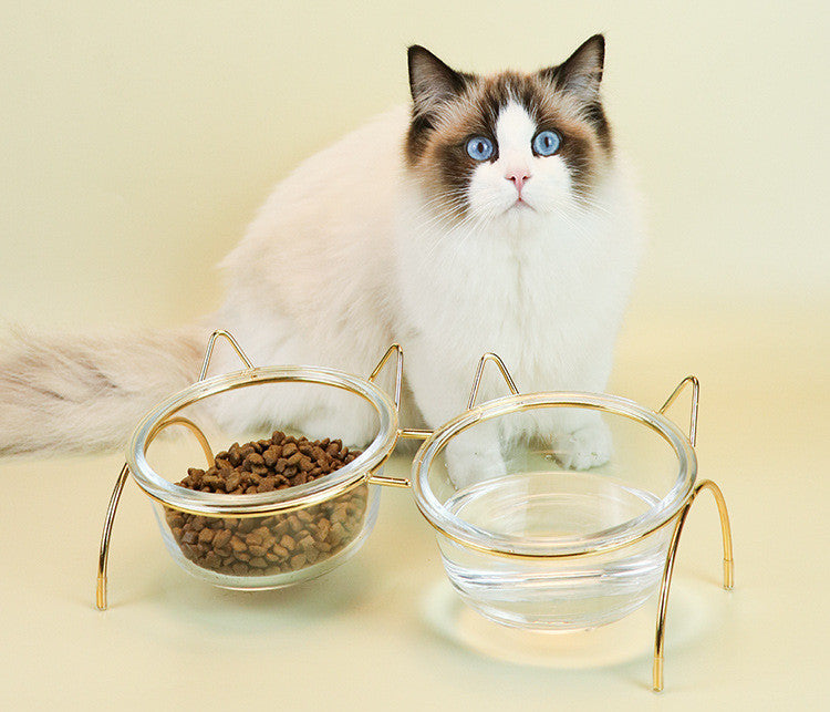 Pet Glass Feeding Bowl With Metal Stand For Food And Water