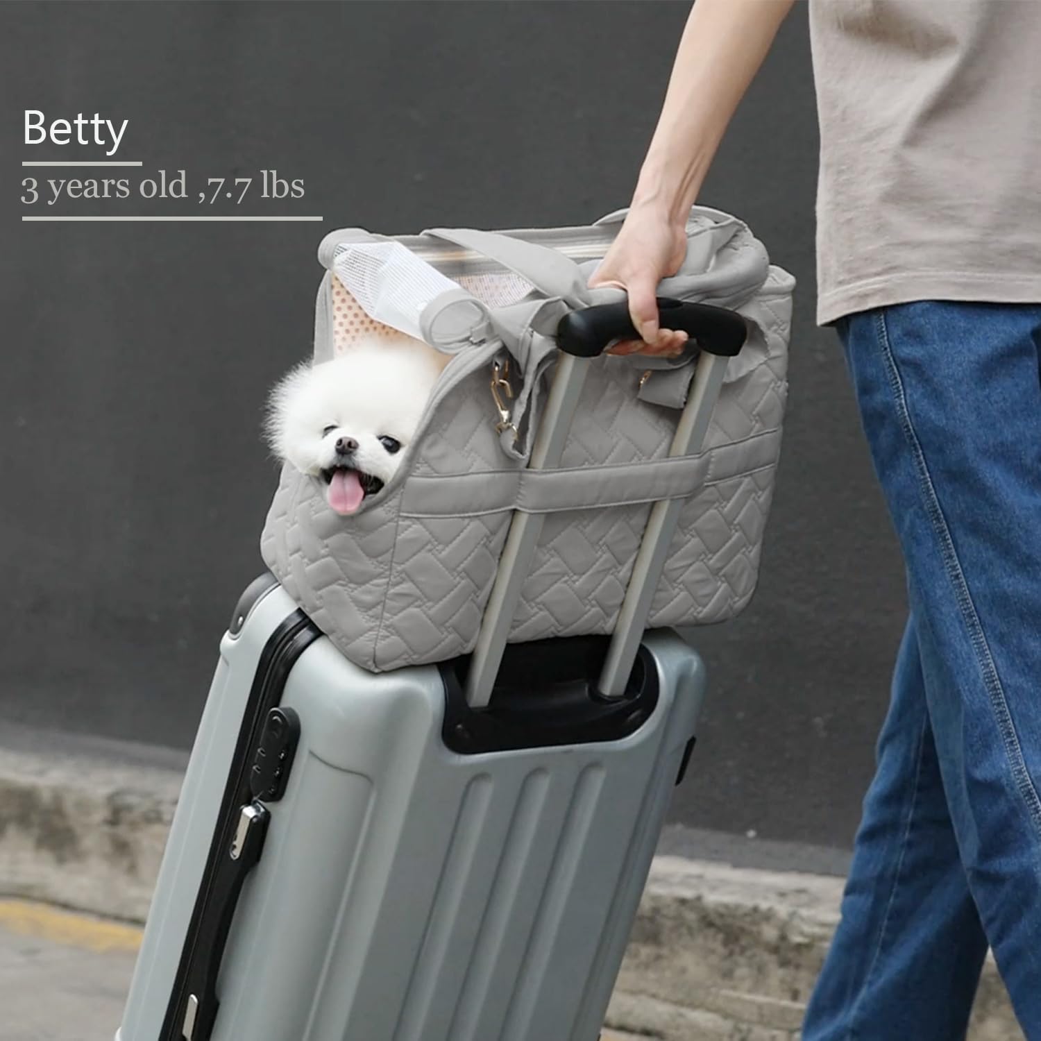 Pet Carrier Handbag Breathable Mesh Soft Cushion Travel Tote