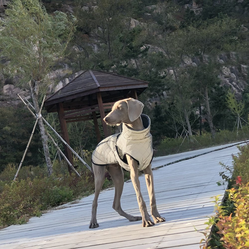 Pet Full Body Reflective Tactical Outdoor Jacket
