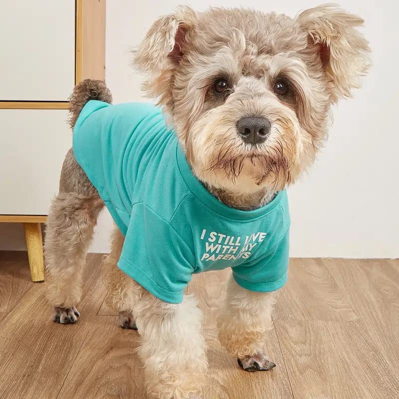 Pet Round Neck Casual Cotton T Shirt